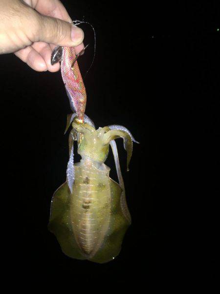 潮は良くないけど・・・