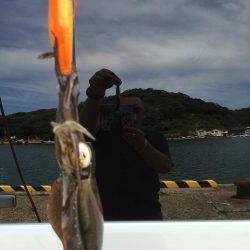 秋の新子エギング