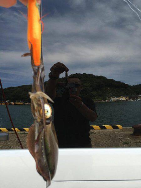 秋の新子エギング