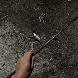 ファミリーフィッシング 夜編