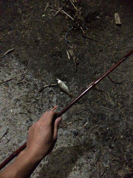 ファミリーフィッシング 夜編