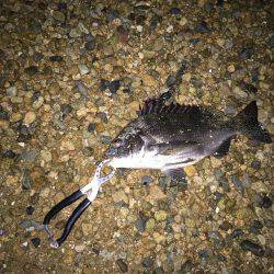 仕事帰りにちょっとだけ