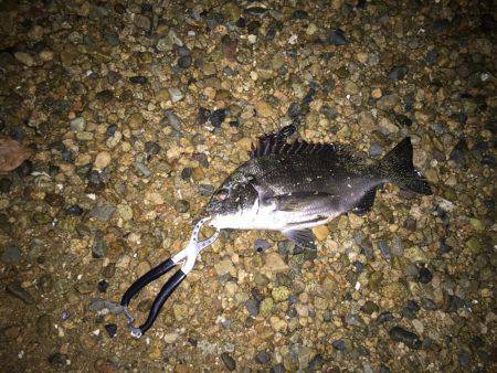 仕事帰りにちょっとだけ