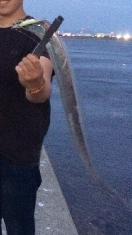 前日が好調だったので…