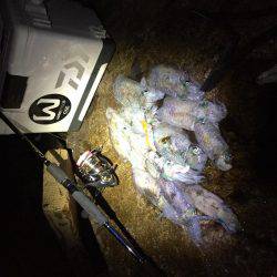 ニューロッドで！