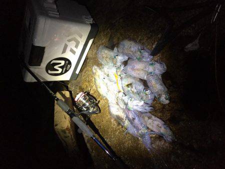 ニューロッドで！