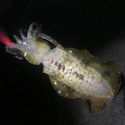 暴風でも行ってきました。