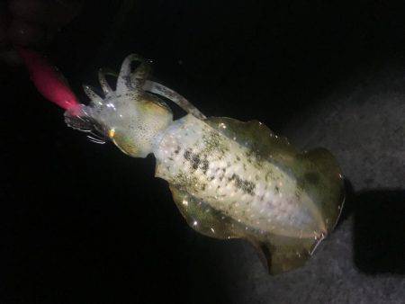 暴風でも行ってきました。