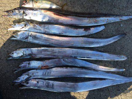 マイポイントで朝練