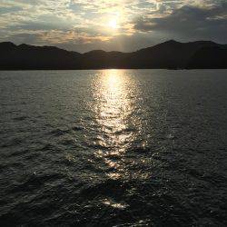 初アオリイカ！