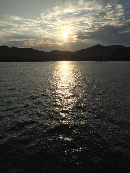 初アオリイカ！