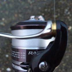 メッキちゃん。