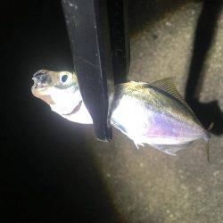 うそでしょー？たまたまよねー？