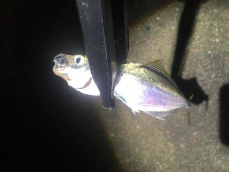 うそでしょー？たまたまよねー？