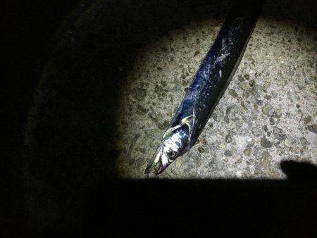 久しぶりの貝塚人工島!