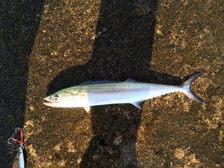 大荒れの日本海へ