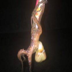 秋イカいっぱい( ^ω^ )