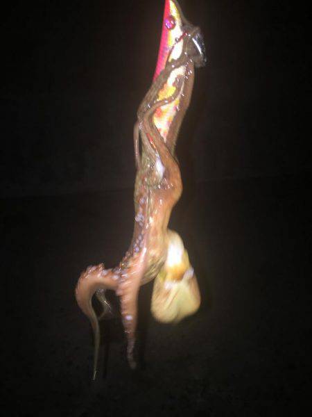 秋イカいっぱい( ^ω^ )