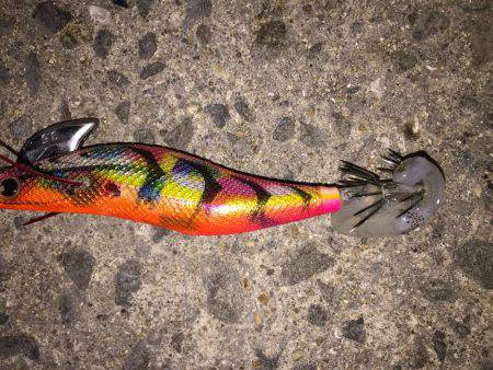 田ノ浦漁港エギング15回目