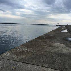 ナイトワインド