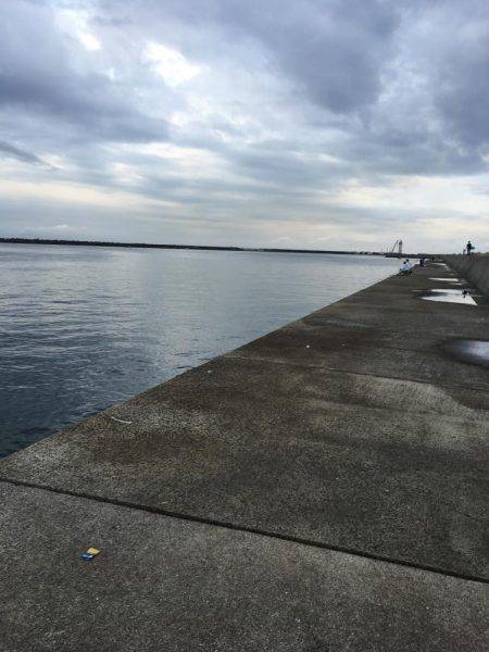 ナイトワインド