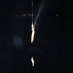 久々のイカ釣り