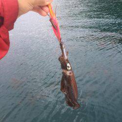 マイボートでのボートエギング