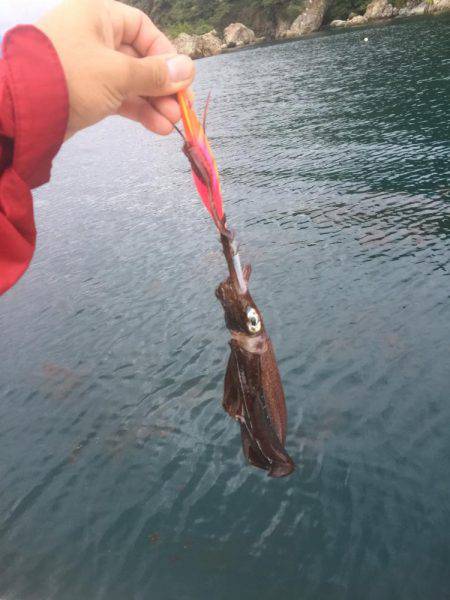 マイボートでのボートエギング