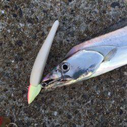 スリリングなやりとりを楽しめました