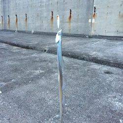 モーニング太刀魚