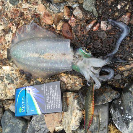 渋くなりました