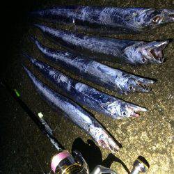 久しぶりのタッチー‼︎