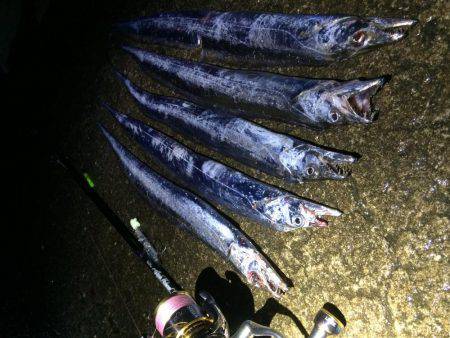 久しぶりのタッチー‼︎