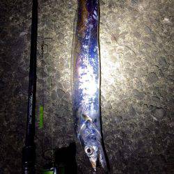 ウネリが・・・