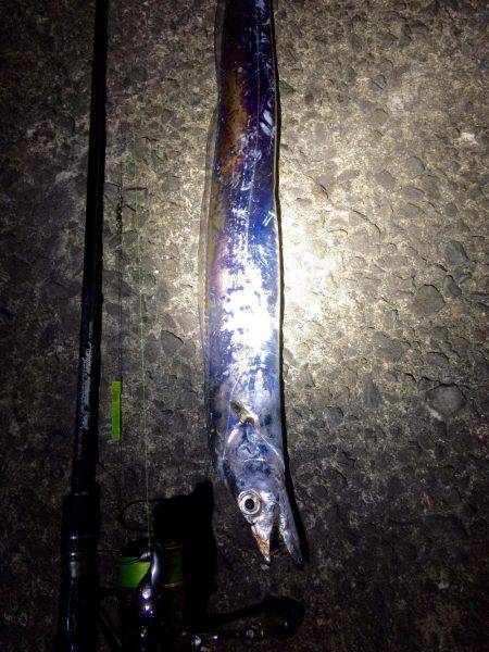 ウネリが・・・