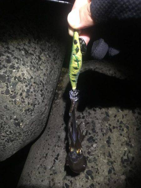 リリースしてあげましょうよ‼️