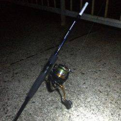 太刀魚ゲッター