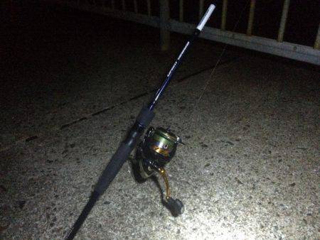 太刀魚ゲッター