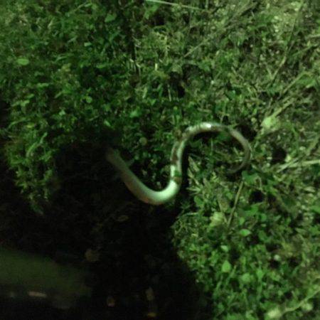 シーズンイン！