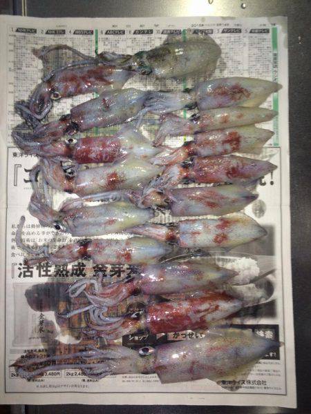 40センチ級を求めて