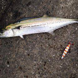 ポーアイ沖堤釣行