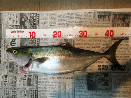 しっっっっっぶい^^;