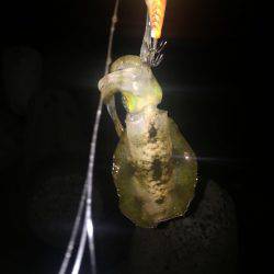 オールリリース