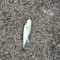 サイトでテクニカルに