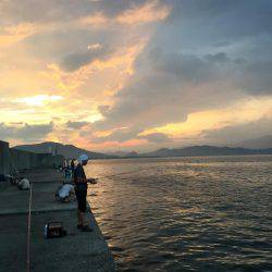 田ノ浦漁港エギング16回目