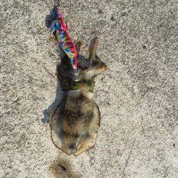 またまた中紀へ