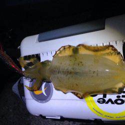 エギングジギング