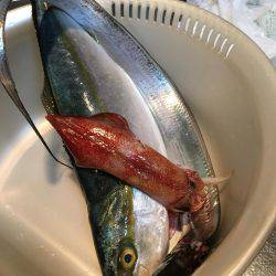 何とか3種盛り^ ^