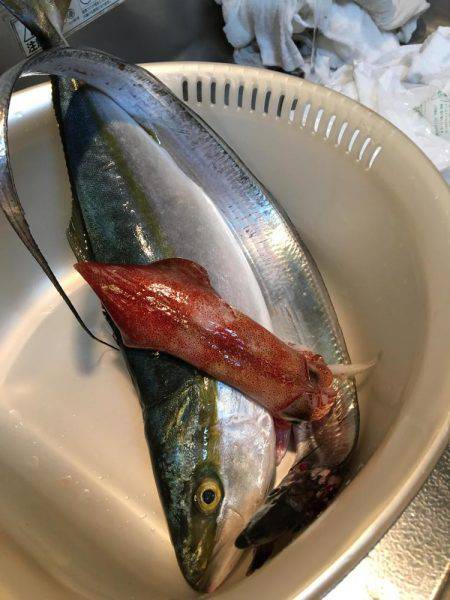 何とか3種盛り^ ^