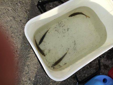 大賑わい食コン